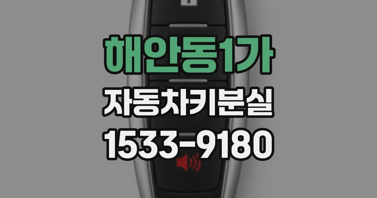 해안동1가 자동차키분실