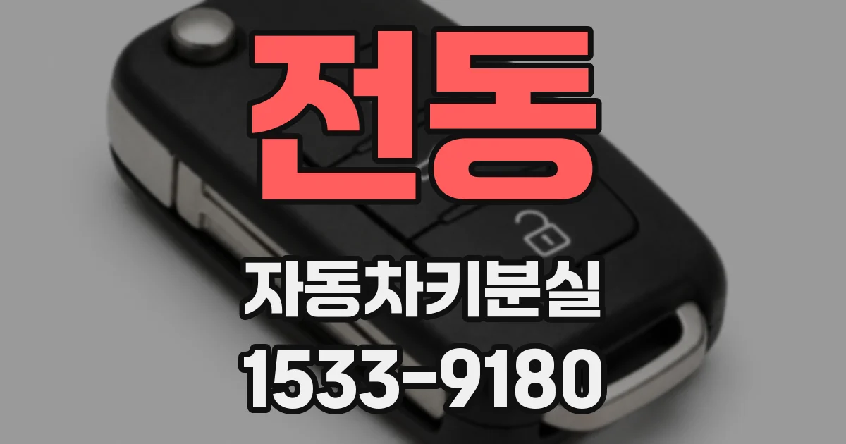 전동 자동차키분실