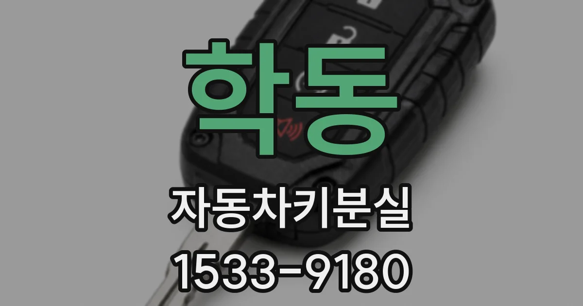 학동 자동차키분실