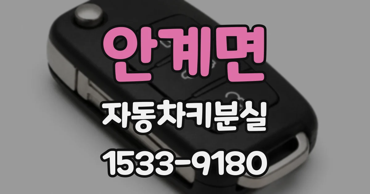 안계면 자동차키분실