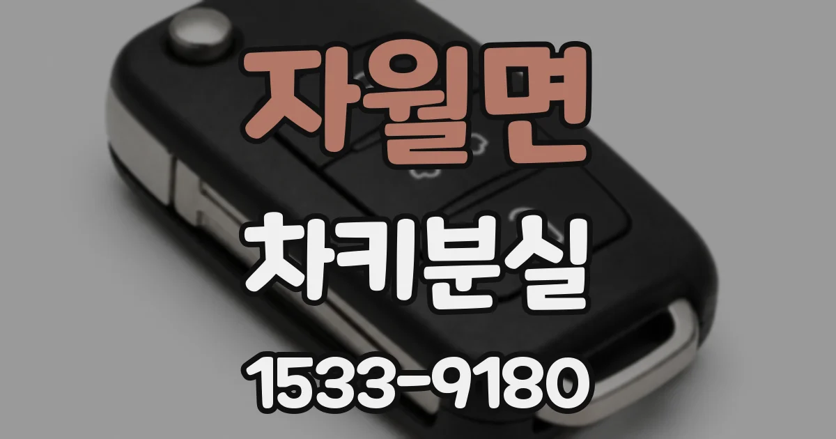 자월면 차키분실