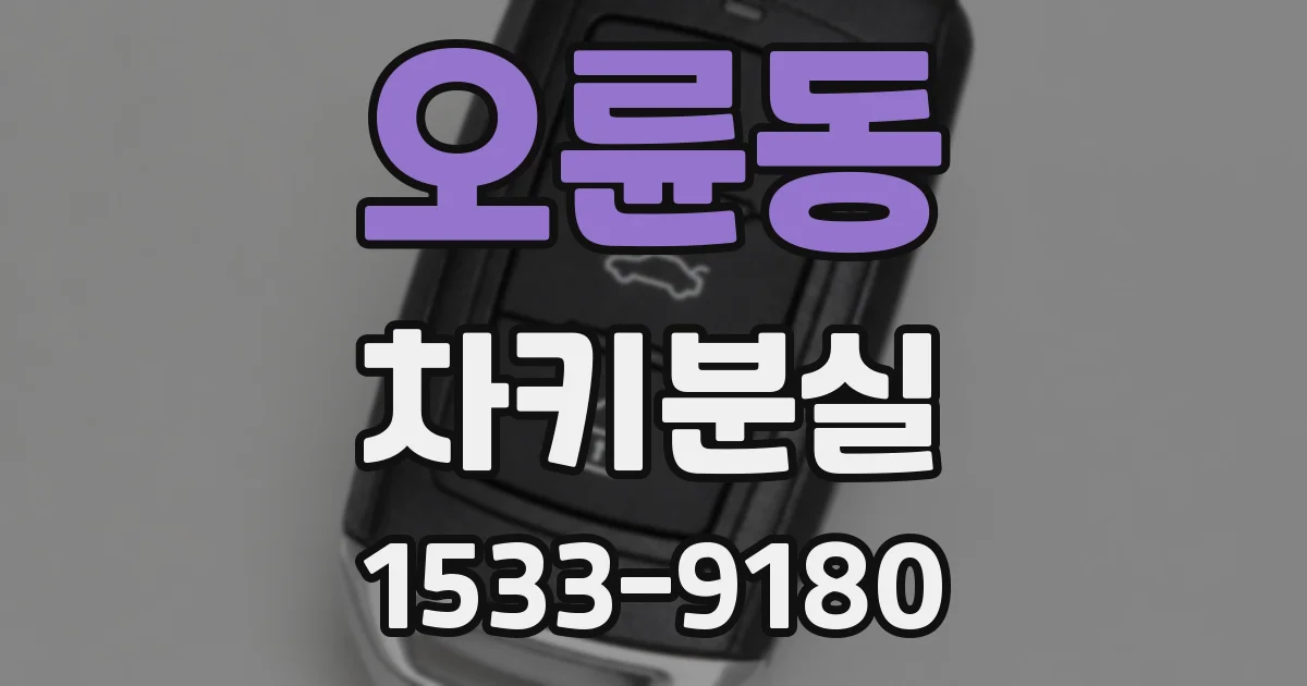 오륜동 차키분실