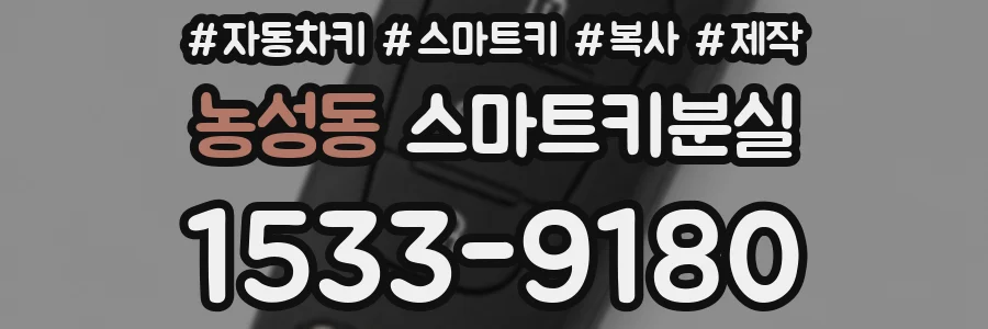 농성동 스마트키분실