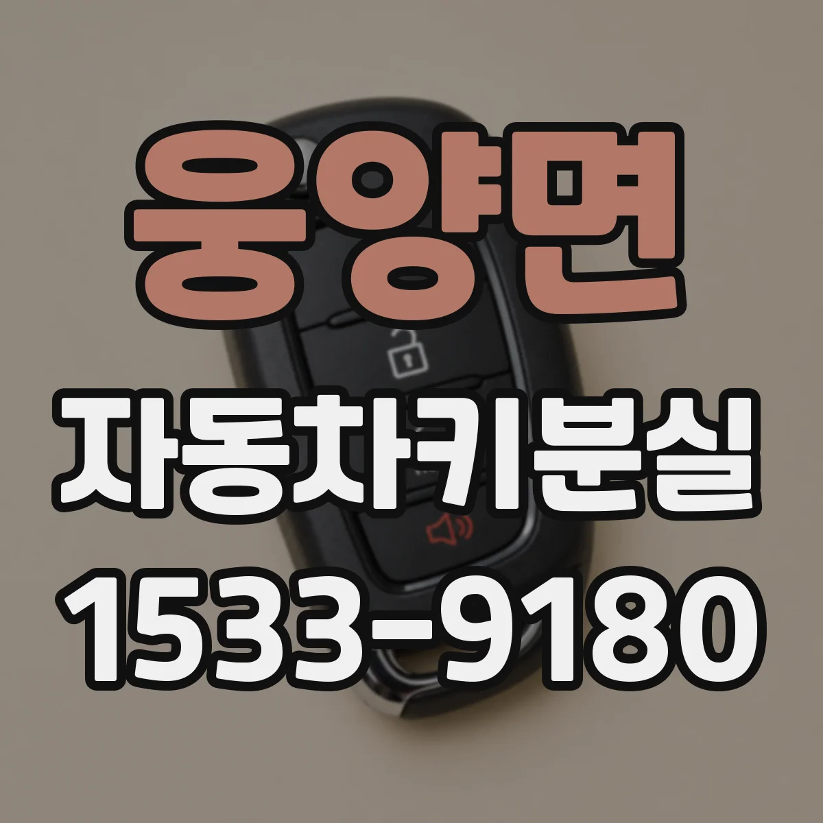 웅양면 자동차키분실