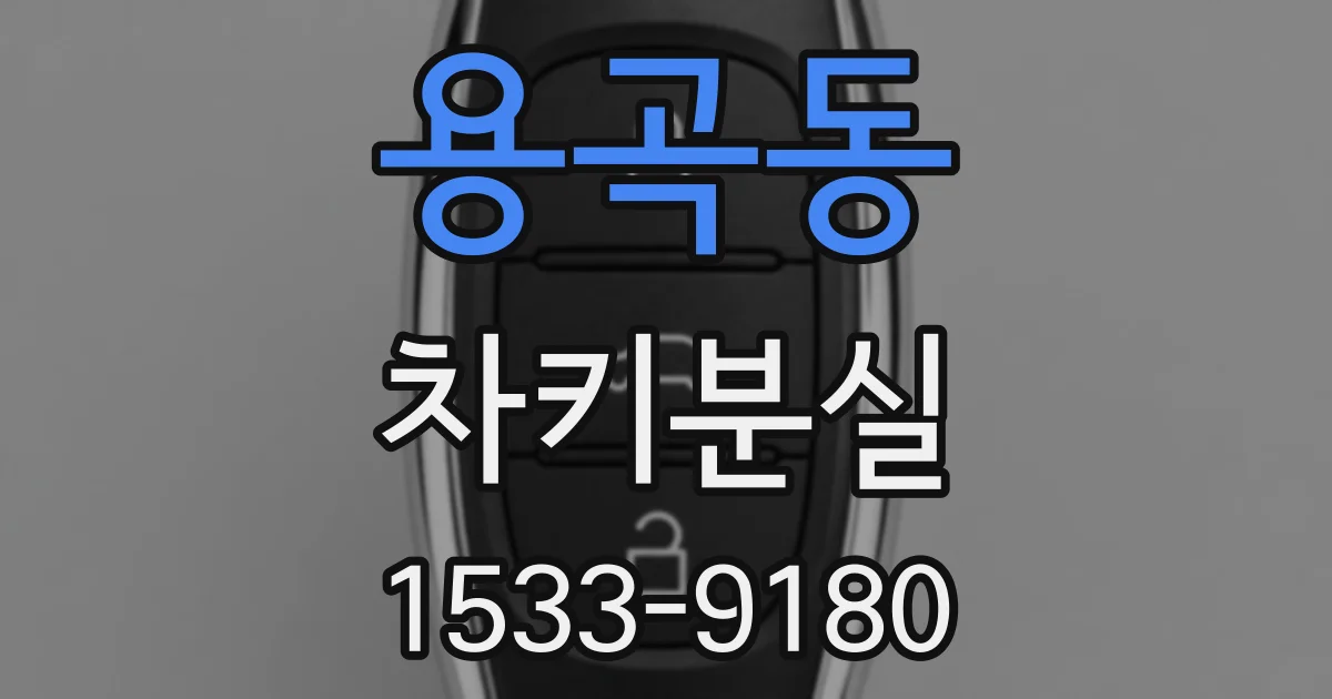 용곡동 차키분실