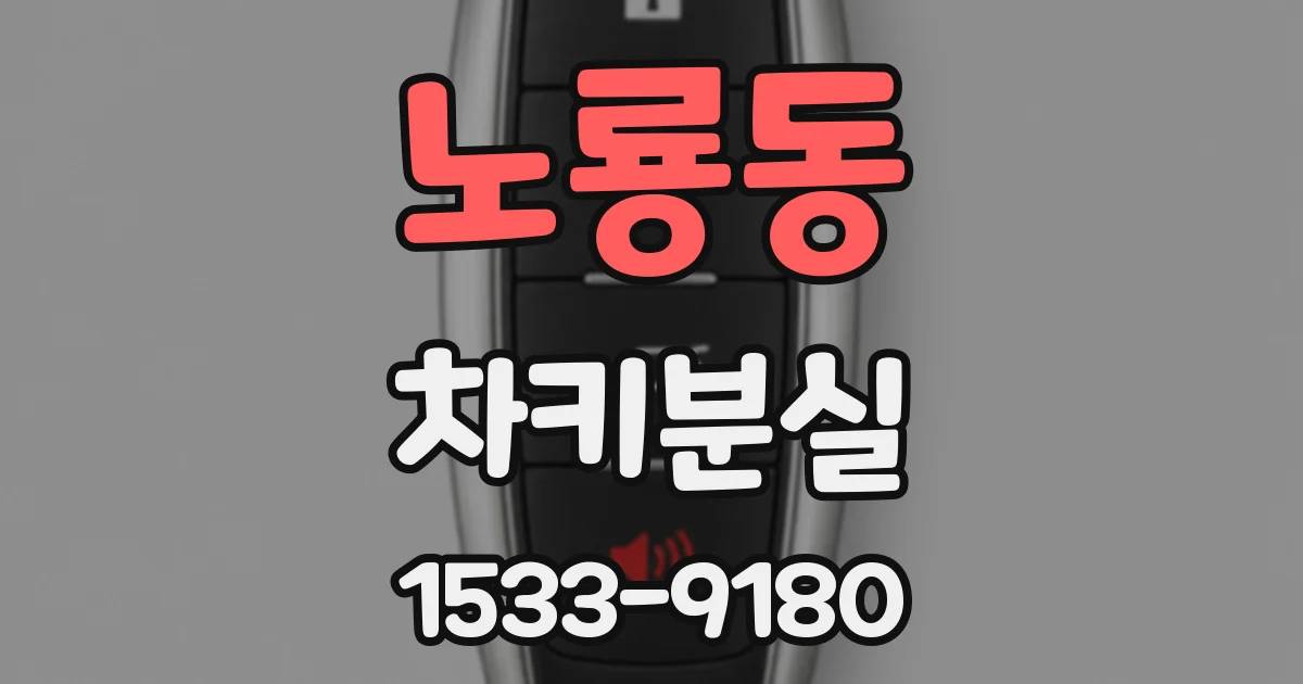 노룡동 차키분실