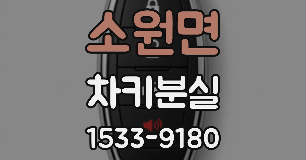 소원면 차키분실