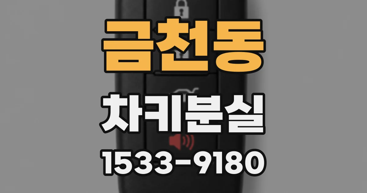 금천동 차키분실