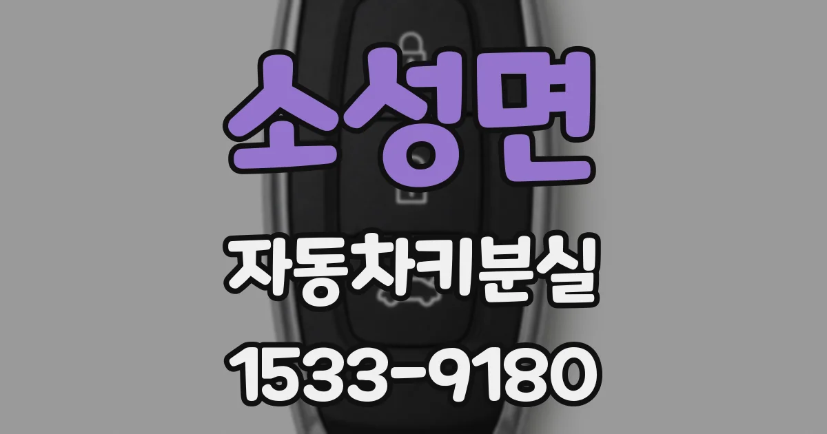 소성면 자동차키분실