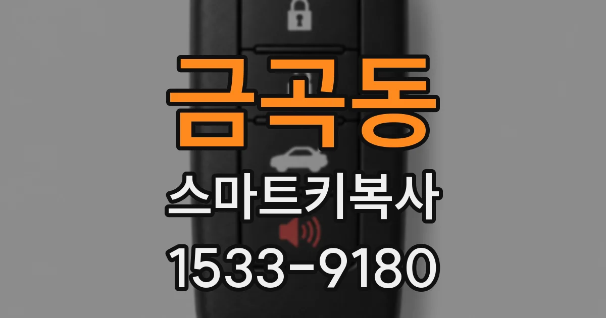 금곡동 스마트키복사