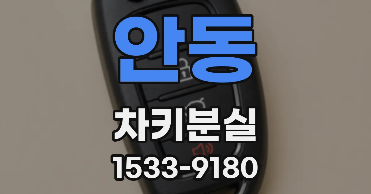 안동 차키분실
