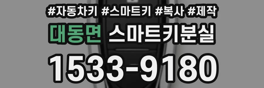 대동면 스마트키분실