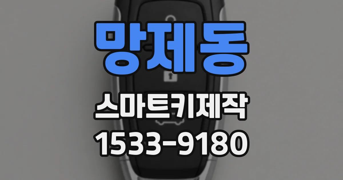 망제동 스마트키제작