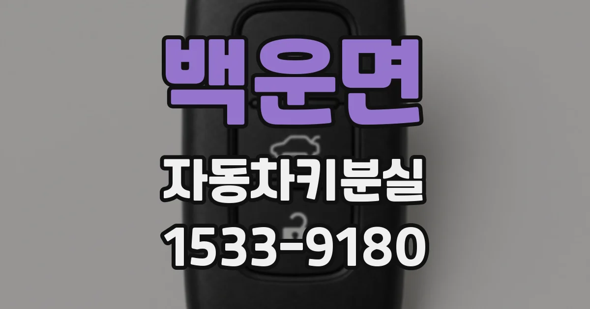 백운면 자동차키분실