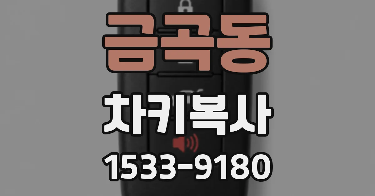 금곡동 차키복사