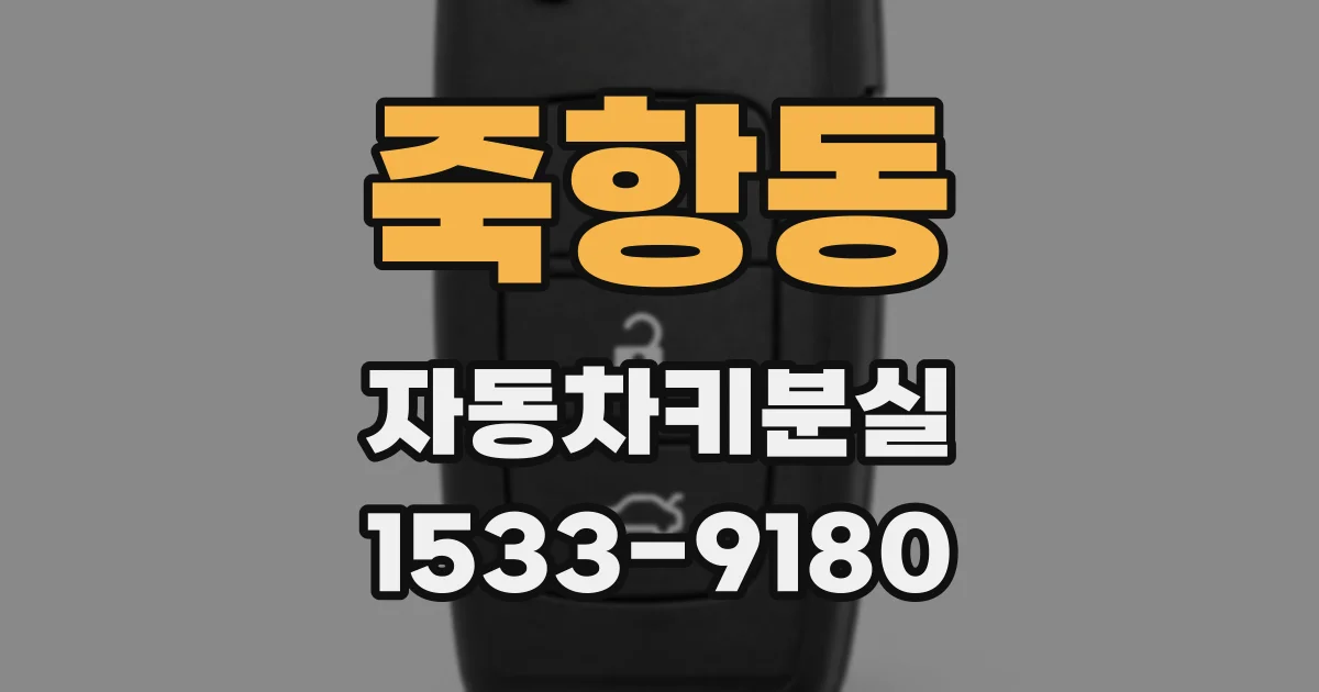 죽항동 자동차키분실
