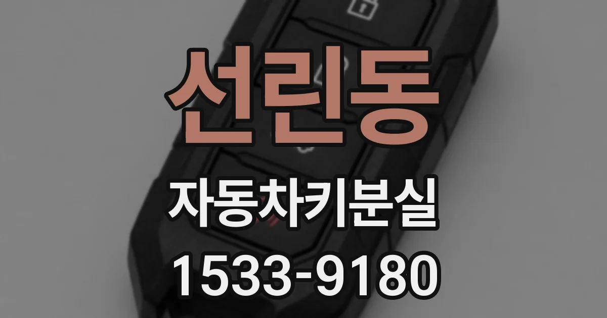 선린동 자동차키분실