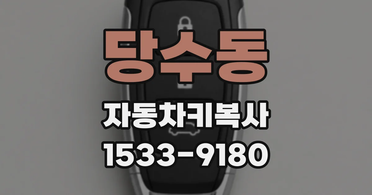 당수동 자동차키복사