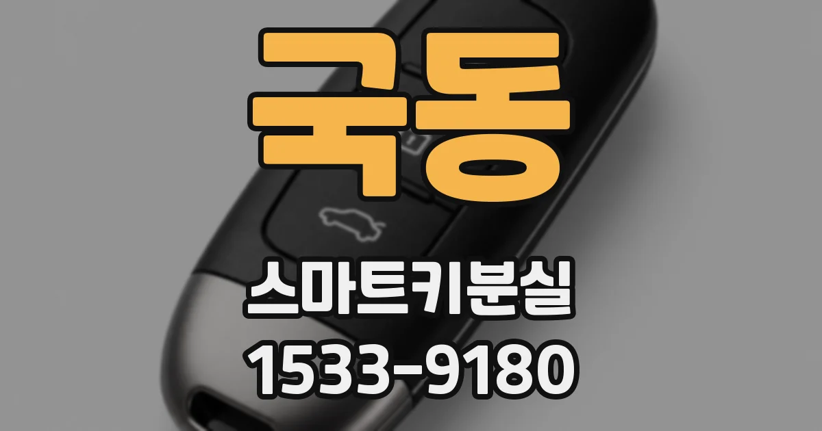 국동 스마트키분실