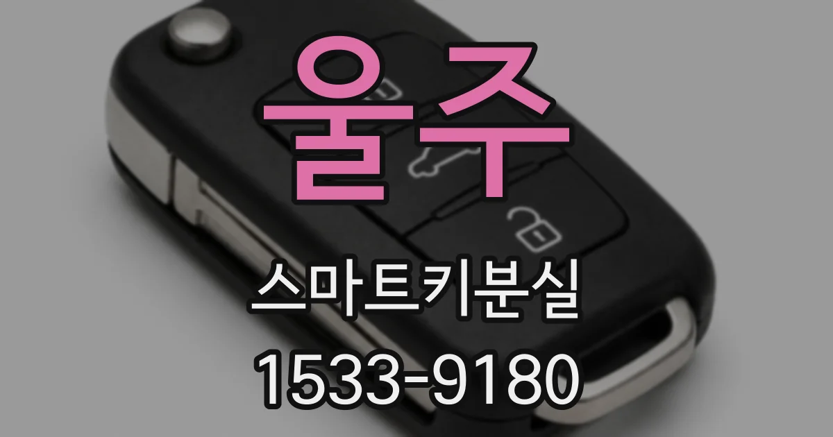 울주 스마트키분실