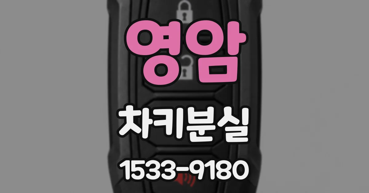 영암 차키분실