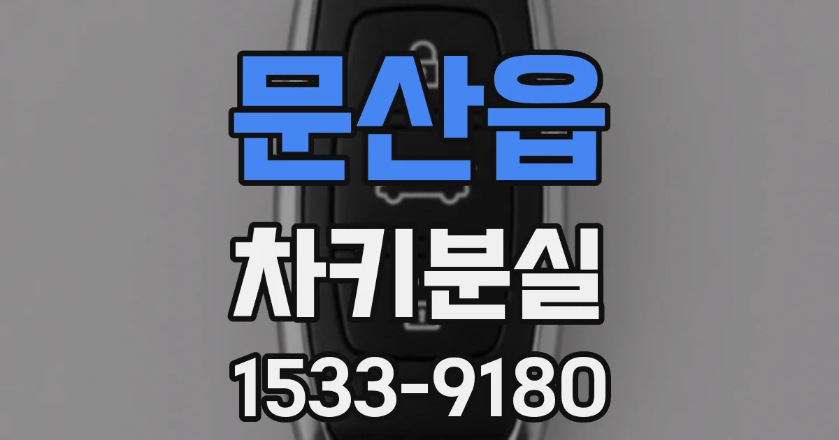 문산읍 차키분실