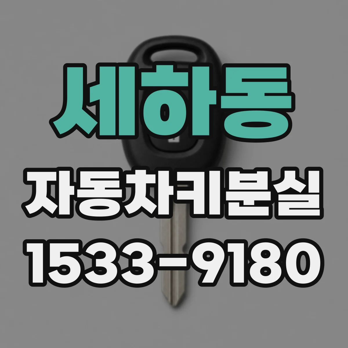 세하동 자동차키분실