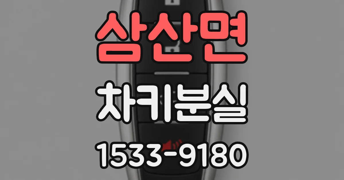 삼산면 차키분실