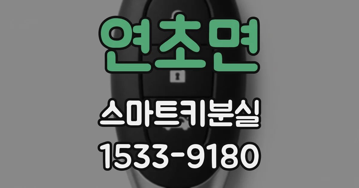 연초면 스마트키분실