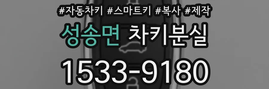 성송면 차키분실