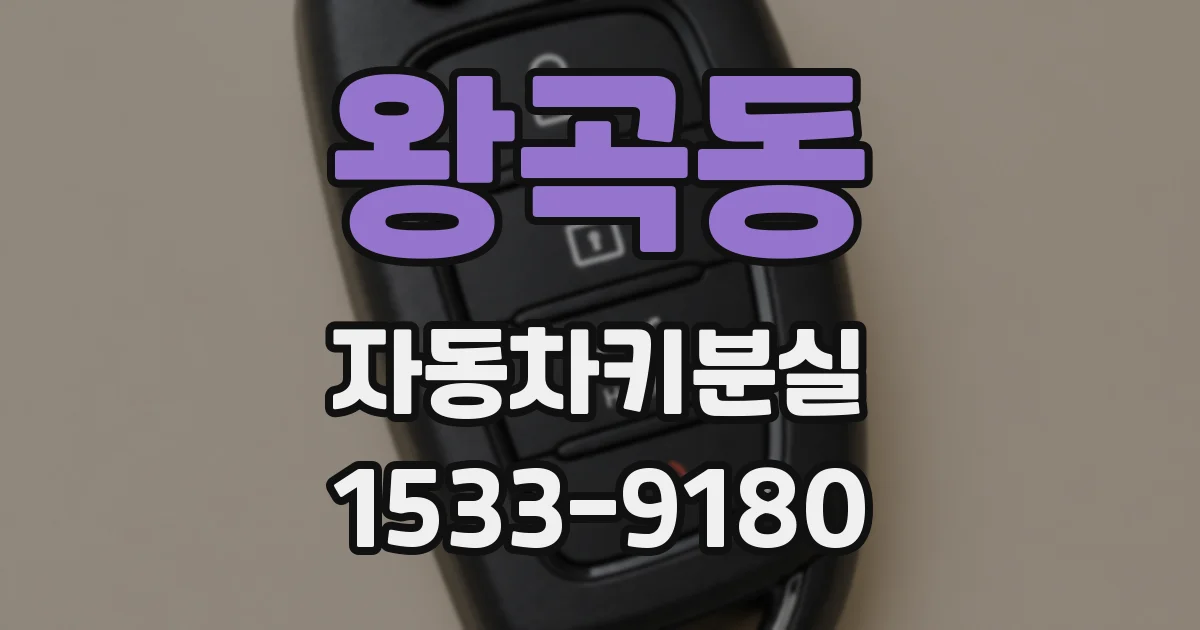 왕곡동 자동차키분실