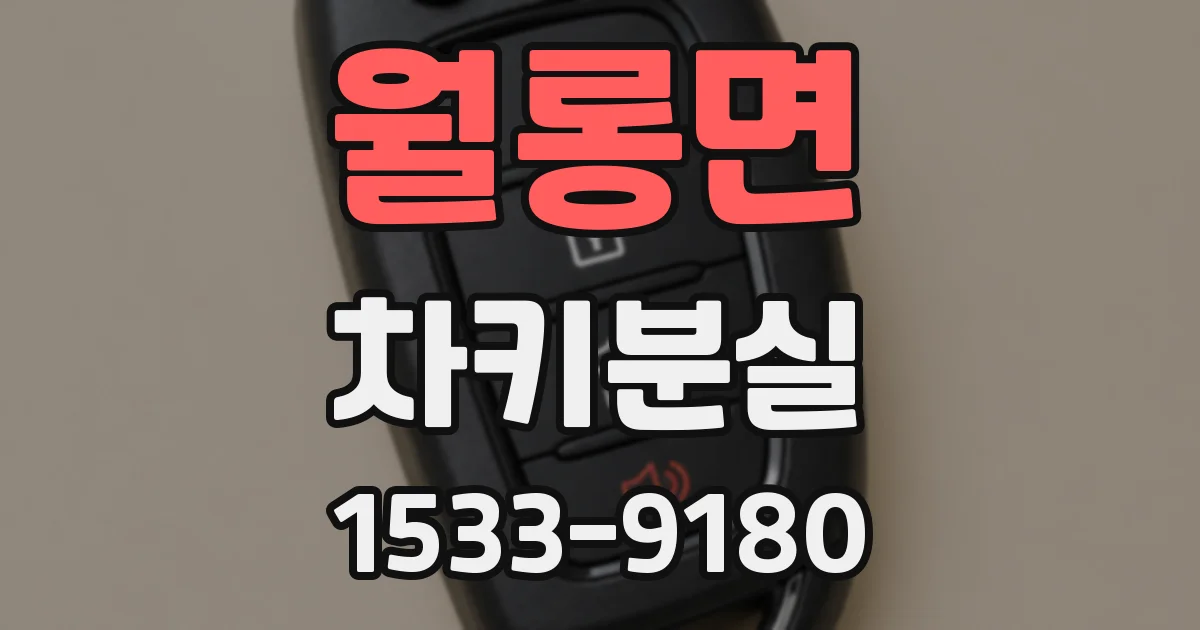 월롱면 차키분실
