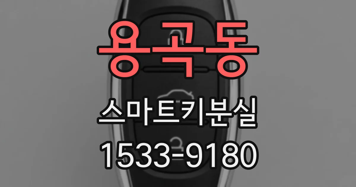 용곡동 스마트키분실