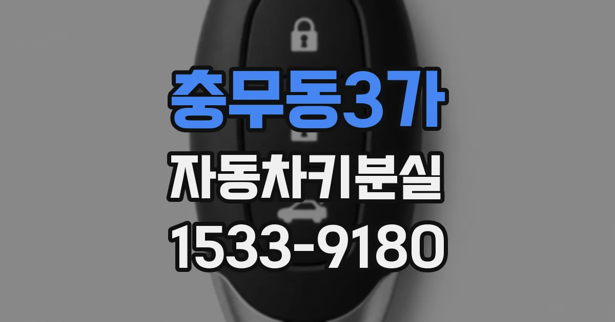 충무동3가 자동차키분실