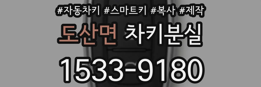 도산면 차키분실