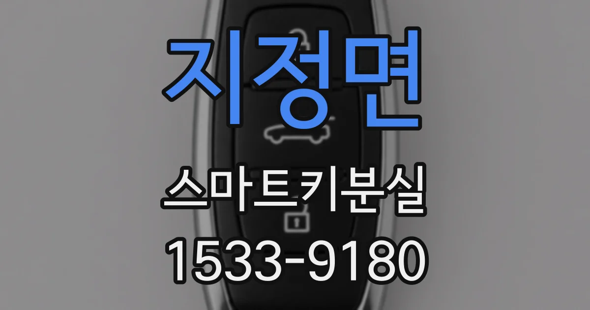 지정면 스마트키분실