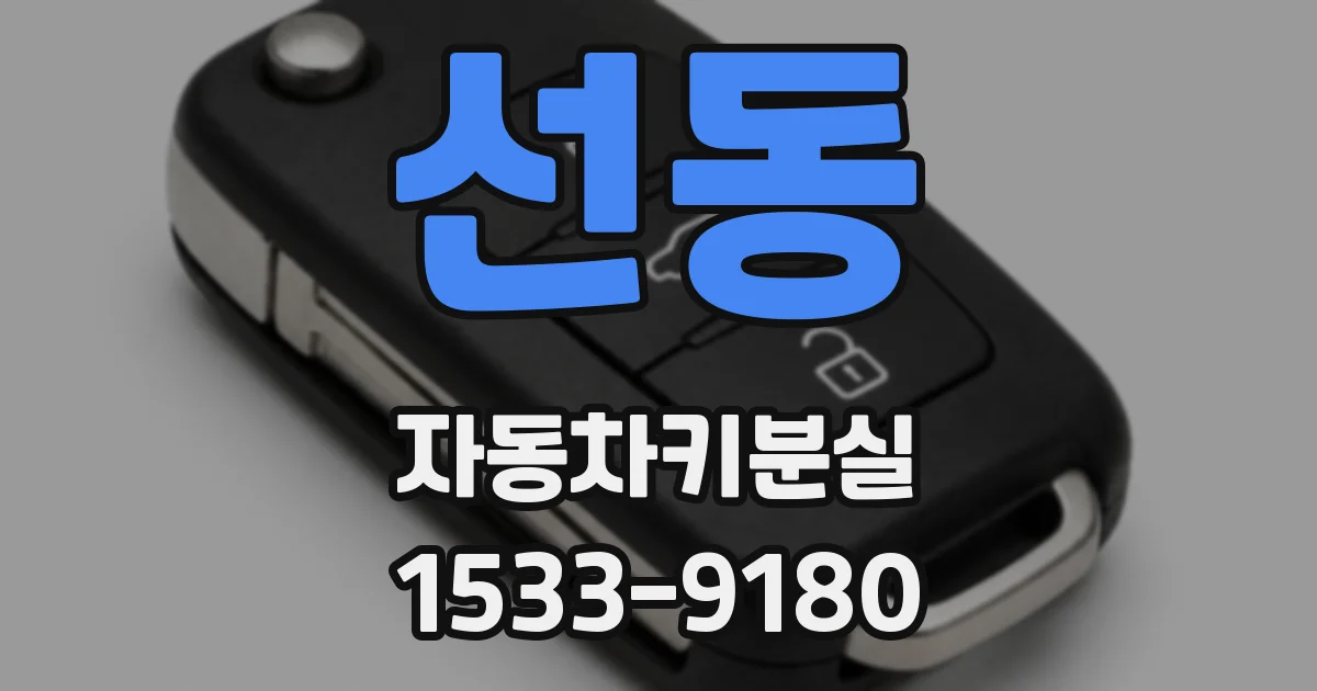 선동 자동차키분실