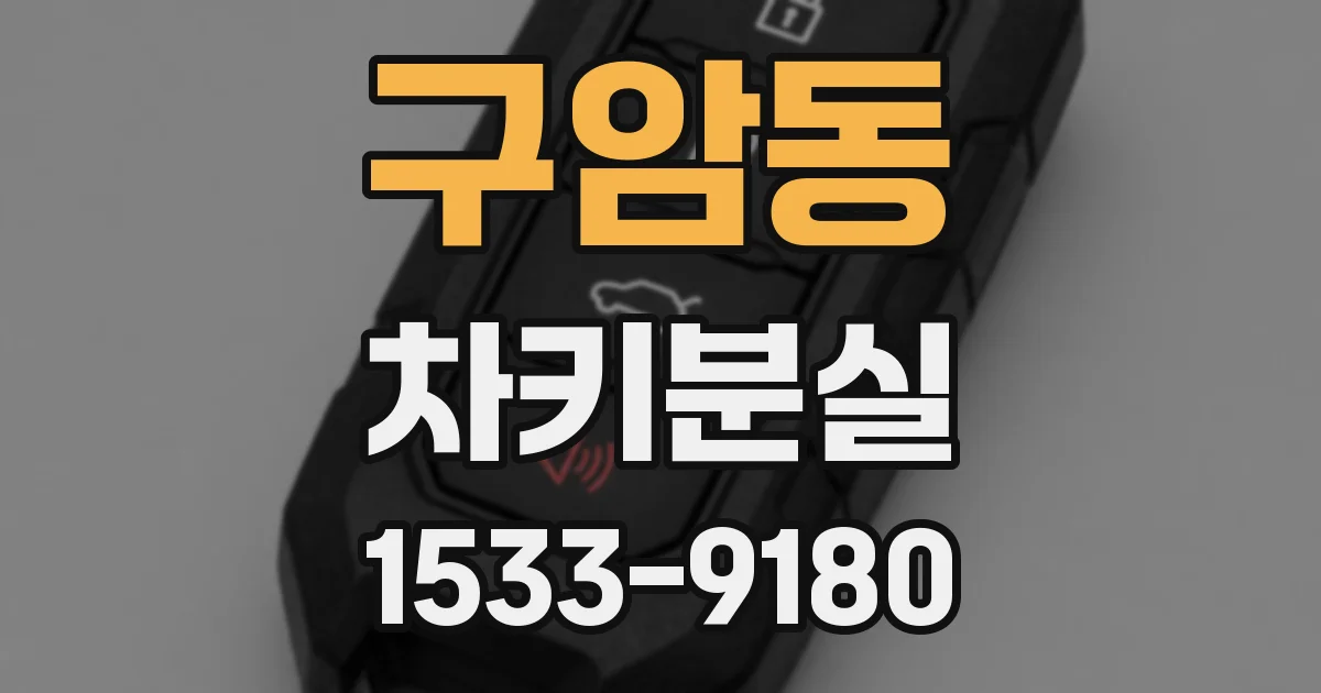 구암동 차키분실