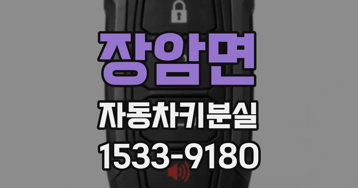 장암면 자동차키분실