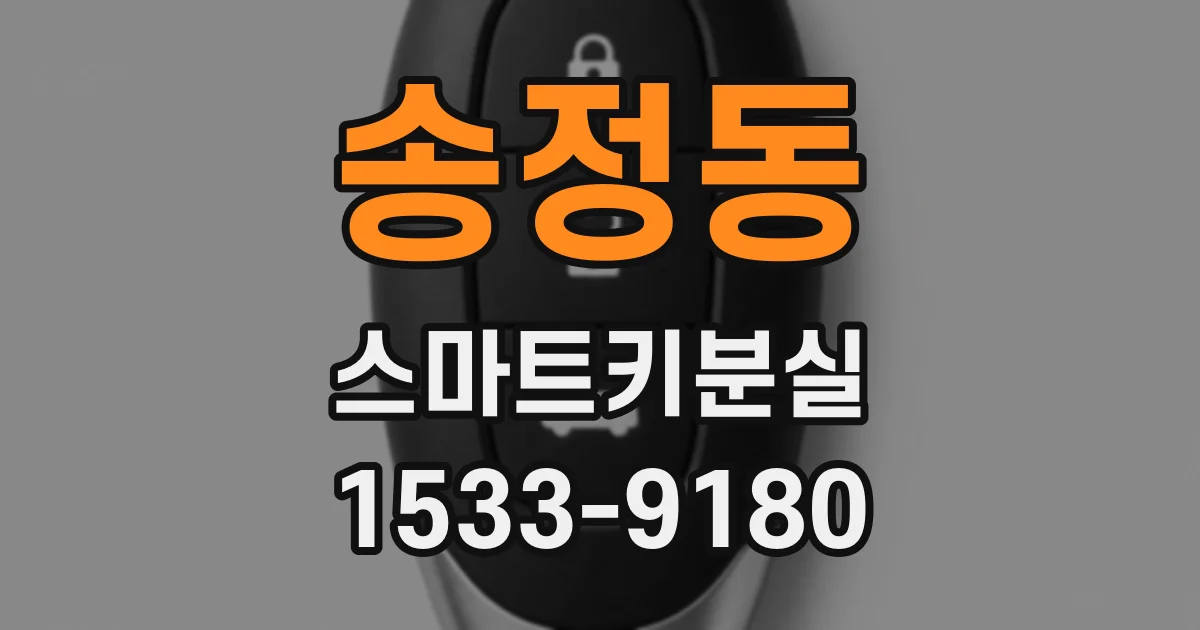 송정동 스마트키분실