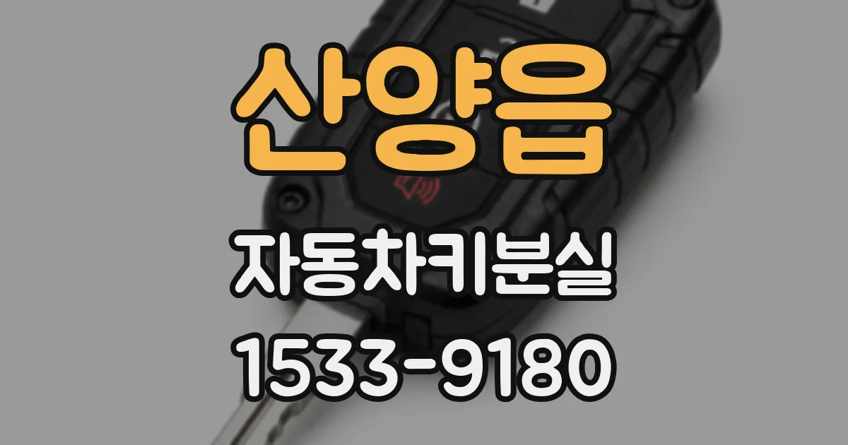 산양읍 자동차키분실