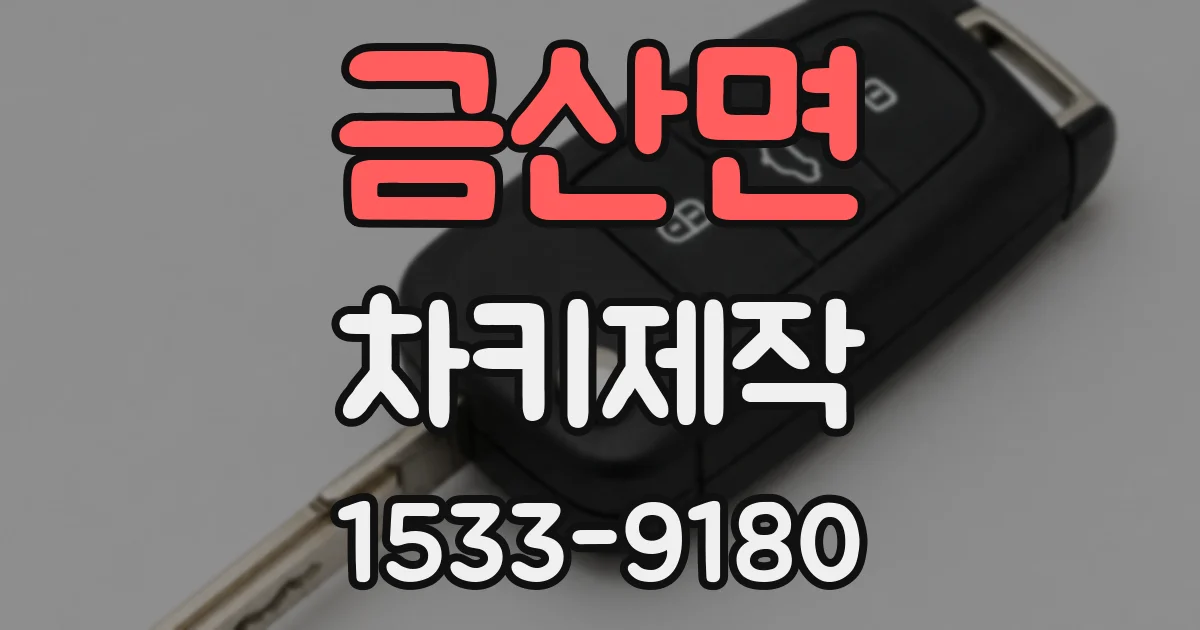 금산면 차키제작