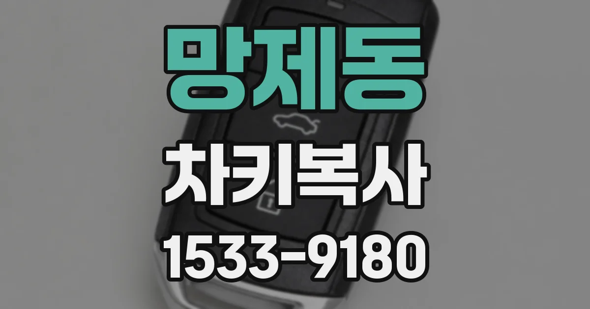 망제동 차키복사