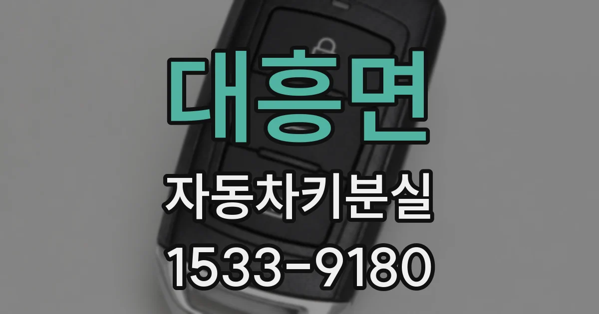 대흥면 자동차키분실