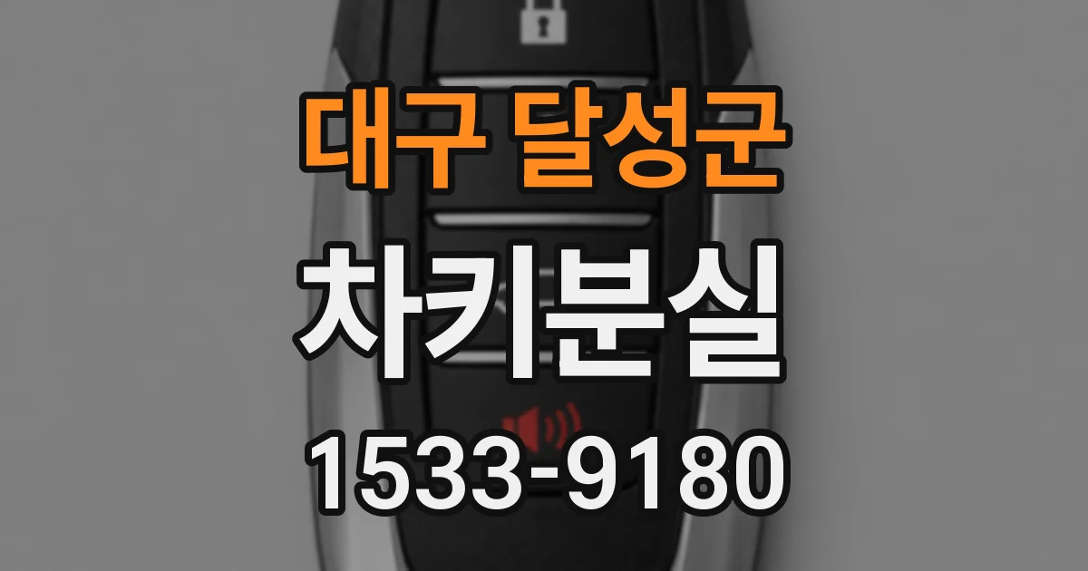 대구 달성군 차키분실