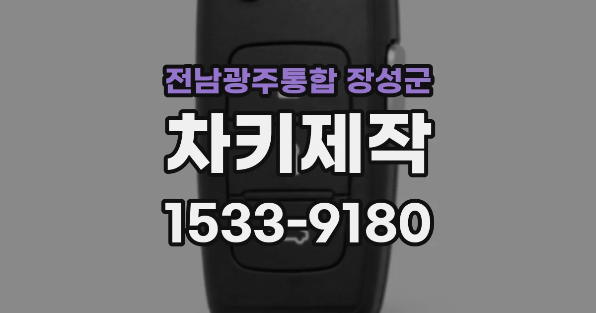 전남광주통합 장성군 차키제작