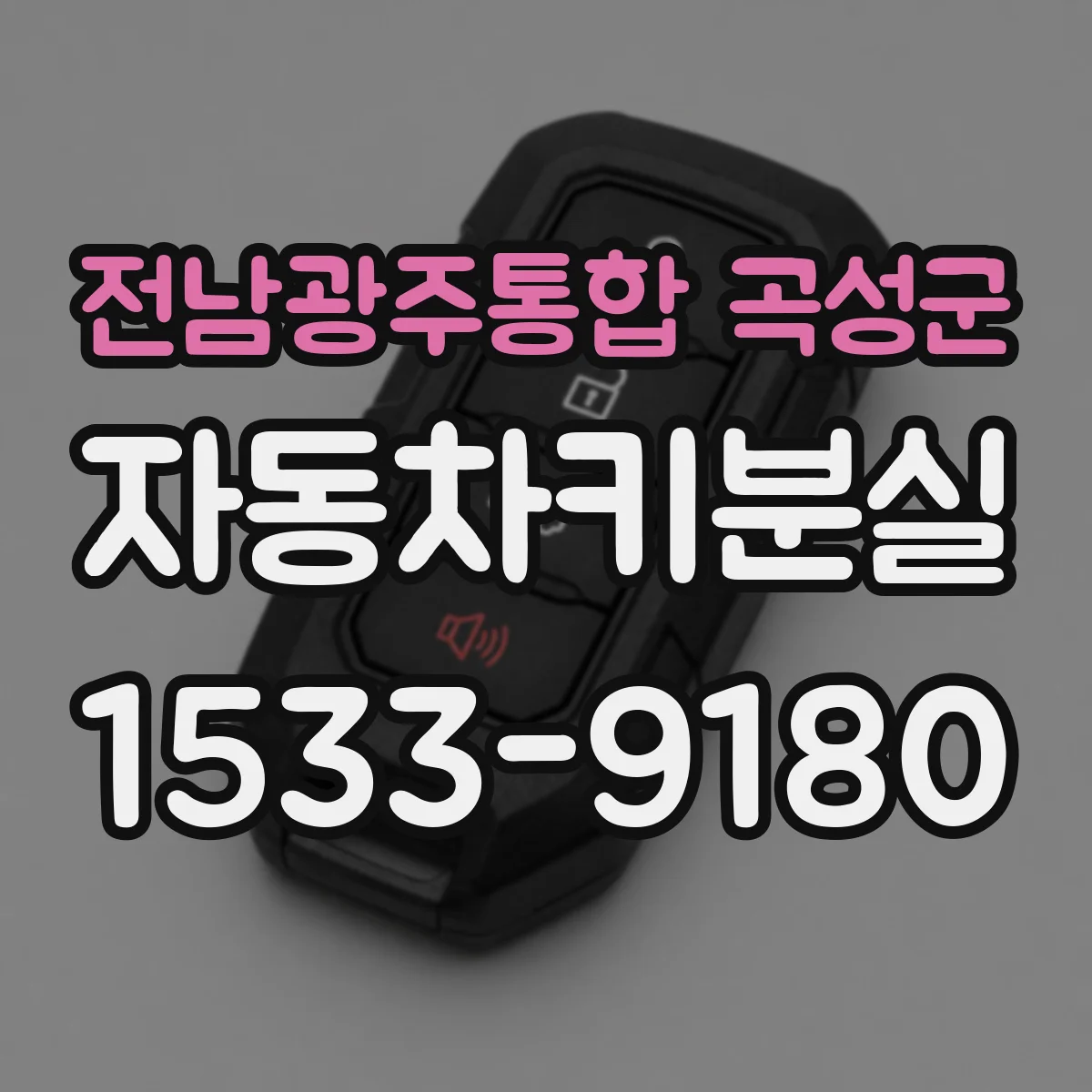 전남광주통합 곡성군 자동차키분실