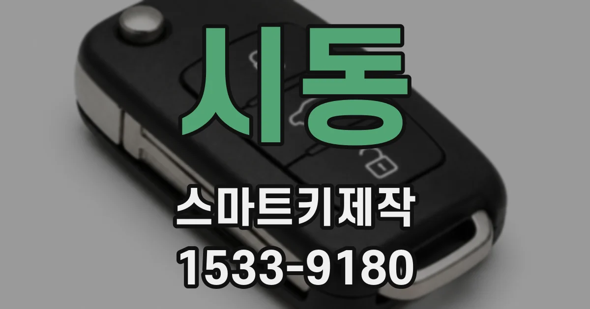 시동 스마트키제작