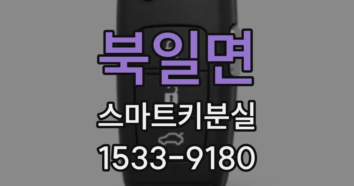 북일면 스마트키분실