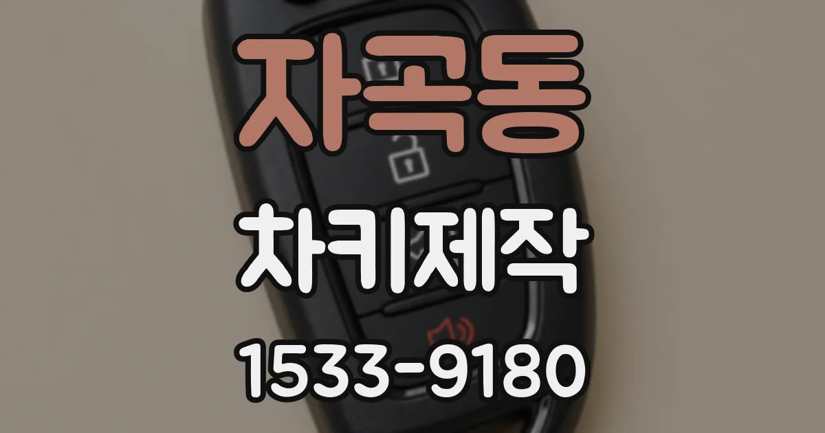 자곡동 차키제작